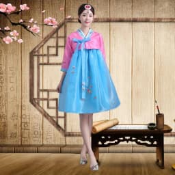 Embroidered Short Korean Traditional Costume Women's Dance Performance Clothes  Ethnic Group Large Long Jin Outfits