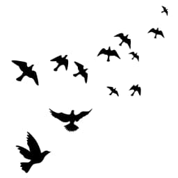 Window Alert Bird Stickers - Self-Adhesive Silhouettes Window Clings Sticker Set