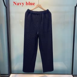 Miyake Pleated Sweatshirt Pit Stripe Zipper Standing Collar Jacket Women 2025 New Casual Pullover Hundred Pleat Skinny Tops