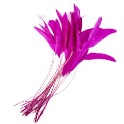 10pcs Natural Rooster Feathers Wedding Crafts DIY Colorful Feather Handwork Party Plume Carnival Headwear Decoration Accessories