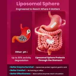 Nattokinase Capsules, with Serrapeptase, Lumbrokinase, Support Inflammation Reduction, Digestion & Circulation for Daily Use