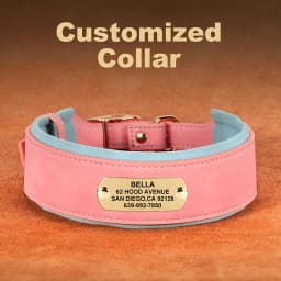 Customized Engraved Dog Collar Wide Leather Dog Collar Large Soft Padded Pet Dog Collars For Medium Large Dogs Free Engraving