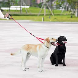 Double Dog Leash, Dual Dog Leash, 360 Swivel Tangle Free Bungee Walking Training Leash for Large Medium Dogs, Shock Absorbing Bu