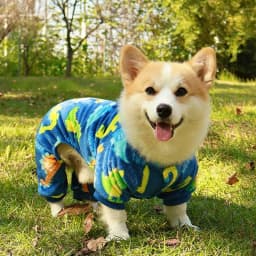 Autumn Winter Pet Dog Warm Soft Clothes Fleece Jumpsuit Coat for Small Medium Large Dog Cat Puppy Plush Jacket with Leash Ring