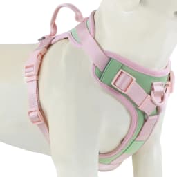 New Chocolate Color Luxury Dog Harness No Pull for Large Small Dogs Adjustable Chest Strap Dog Harness Personalized