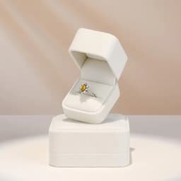 Oirlv Velvet Ring Box Classical Earring Necklace Bangle/Bracelet Case Jewelry Gift Box for Wedding Jewelry Display Storage Box