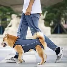 Adjustable Universal Dog Lift Harness Sling, Walking Mobility Carrier Belt for Old Elderly Dog Injured Front & Rear Leg Support
