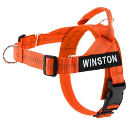Personalized No Pull Dog Harness with Name Patch Escape-Proof Adjustable Reflective Soft Padded Dog Vest for Training Walking