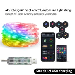 Smart Fairy RGB String Light USB 10M/33FT Waterproof String Light with App Control, Sync to Voice & Music Valentine's Day Decor