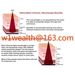 LED Red Light Near Infrared Light Pet Horse LightTherapy Led Lamp Horse Red Light Therapy Pad Machine Black for Horse