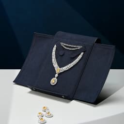 Oirlv Luxury Necklace Storage Case - Premium Faux Leather Exterior Soft Suede Interior, Jewelry Organizer for High-End Necklaces