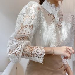 New Women's Long Sleeve High Neck Chic Blouse, Lace Paneled Hollow Sleeve Elegant Top, Vintage Fashion Office Lady Outfits
