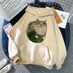 Cute Watermelon Cat Silly Cat Meme Printed Hoodies 90s Casual Sweatshirts Graphic Y2k Hooded Women's Gothic Streetwear Clothes