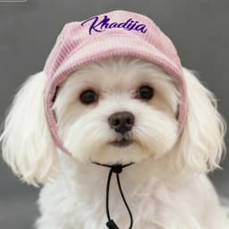 Personalized Name Embroidery Pet Dog Hat Corduroy Adjustable Cap for Small Medium Dogs Cats Custom Puppy Sun Hat