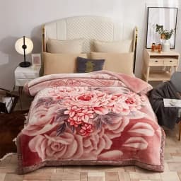 New Warm Weighted Blankets for Beds High End Thicken Warmth Raschel Blanket for Winter Autumn Double Side Plush Comforter Quilt