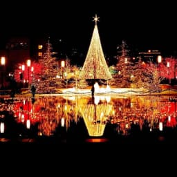 Led String 100m 50m 30m 20m 10m 5m Lights Christmas EU/US Plug 220v/110v Led Garland Led String Lights Outdoor Christmas Lights