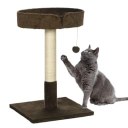 PawHut Small Cat Tree for Indoor Cats with Sisal Scratching Post Kitten Bed Cushion Ball Toy, Brown, 45x45x70 cm