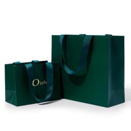 Oirlv 10Pcs Green Gift Bags Ribbon Handle Customizable Jewelry Shopping Bag Reusable Gift Packaging Bags Paper Gift Bags Packing
