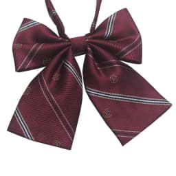Polyester JK Necktie Simple Plaid Neckwear Striped Neck Tie Clothes Accessories Cravat Uniform Bow Tie Women Men