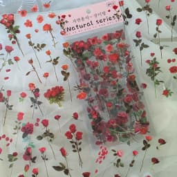 6 pcs/pack PET Plants Flowers Stickers DIY Scrapbooking Planner Decoration Collage Diary Supplies Aesthetics Stationery Sticker