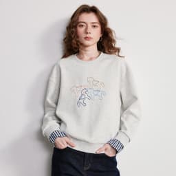 TOYOUTH Women's Pullover 2026 Spring New Crew Neck Plaid Patchwork Double-layered Pony Embroidery Loose Top