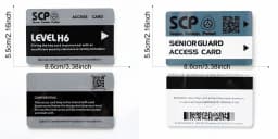 High Quantity Text Clear Letters Printed PVC SCP Hard Card Patches,top Hardboard,hardcard 8.5*5.5CM WF23461