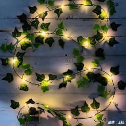LED String Light Geen Eucalyptus Leaves Maple Leaf 5V USB Battery Power Wedding Christmas Decoration 2M 5M 10M Fairy Lights