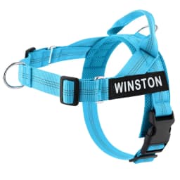 Personalized No Pull Dog Harness with Name Patch Escape-Proof Adjustable Reflective Soft Padded Dog Vest for Training Walking