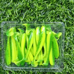 MUKUN 20PCS Micro Soft Fishing Lures 0.35g/35mm T-tail Worm Lure Small Artificial Bait Jig Wobblers Bass Pike Fishing Tackle