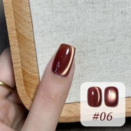 10ML 1-10PCS Winter New Style Hot Selling Black Nails Brown Nails Glass Bead Magnet Cat Eye Nail Polish Nail Set Nail Supplies