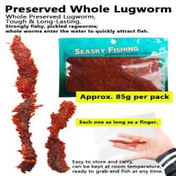1pc Preserved Lugworm Bait 85g Silicone Marinated Finger-Length Worms Semi-Dried Ragworm Sandworm Bait Fishing Bait Accessories