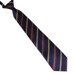 Polyester JK Necktie Simple Plaid Neckwear Striped Neck Tie Clothes Accessories Cravat Uniform Bow Tie Women Men