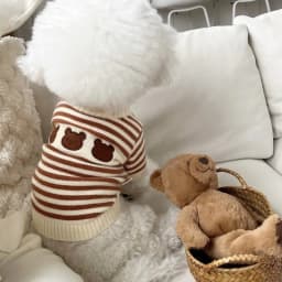 Dog Sweaters for Small Dogs Cute Bear Cardigan Pet Coat Autumn Winter Striped Puppy Clothes Dog Warm Knitted Jacket Dog Pullover