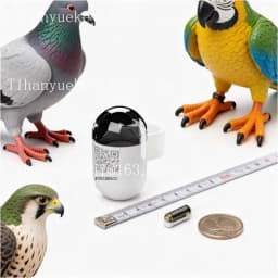 for Real time GPS locator for pigeons and parrots, outdoor flight locator, leg strap and ring pigeon positioning waterproof