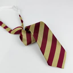 Polyester JK Necktie Simple Plaid Neckwear Striped Neck Tie Clothes Accessories Cravat Uniform Bow Tie Women Men