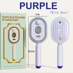 Electric Steam Brush with Water Spray Wet Electrics Hairbrush USB-C Charging for Detangling Smoothing Styling & Frizz Control
