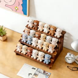 Pure Wood Display Stand Storage Rack Desktop Figurine Bubble Mat Doll Meat Green Plant Multi-layer Staircase Rack