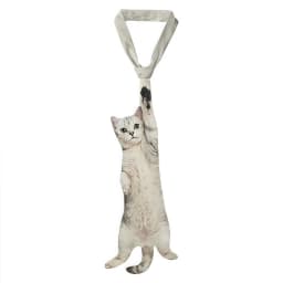 3D Fish Fish-shaped Men's Tie Animal Pattern Lifelike Kitten Necktie Satin Fabric Novelty Creative Neck Tie For Party Wedding