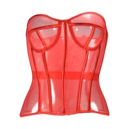 Sheer Corset Waist Shaping Girdle Fishbone Bustier with Tied for Women