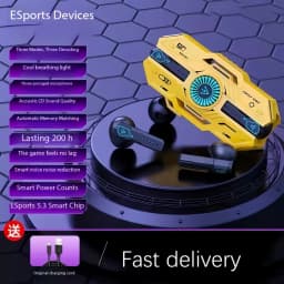 Bluetooth 5.3 Earphone Wireless Earbuds Low Latency Headphones HD Call Dual Mode Gaming