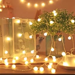 LED String Lights USB/Battery Power Globe Bulbs LED Ball Garland Lights Garden Christmas Camping Tent Canopy Decor