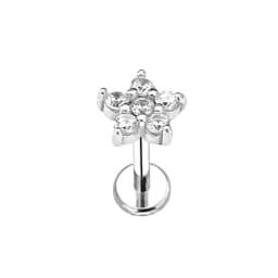 ASTM F136 G23 Titanium Flower Moon Heart Threadless Piercing Leaf Drop Pin Push in Lip Stud Daith Conch Earring 16G 18G 20G