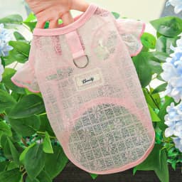 XS-XXL Thin Dog Cooling Vest Breathable Clothes Puppy Pet Costume for Small Dogs Cute Fruit Print Puppy Cheap T-shirt