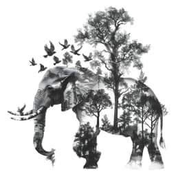 Elephant Decorative Vinyl Child Wall Stickers For Bedroom Accessories Adhesive Wallpaper Wall Art Room Decor Mirror Sticker