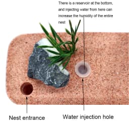 Highly Moisturizing Ant Farm Plaster Ant Nest Insect Box with Workshop Pet Anthill Castle Natural Ecological Ant House 12*6*10cm