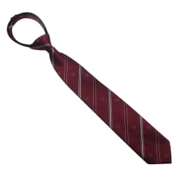 Polyester JK Necktie Simple Plaid Neckwear Striped Neck Tie Clothes Accessories Cravat Uniform Bow Tie Women Men