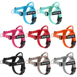 Custom Name No Pull Dog Harness Elastic Buffer Leash Set Adjustable Reflective Nylon Walking Lead for Small Medium Large Dogs