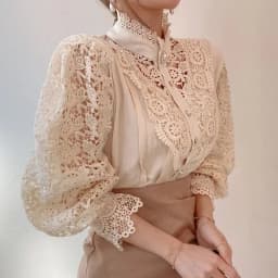New Women's Long Sleeve High Neck Chic Blouse, Lace Paneled Hollow Sleeve Elegant Top, Vintage Fashion Office Lady Outfits