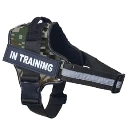 Dropshipping Personalized Dog Harness Reflective Adjustable Dog Harness Tank Top Free Custom Name Label Dog Training Supplies