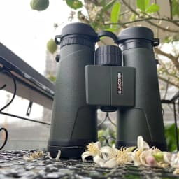 SUNCORE 10X42Green Binoculars - High-Performance, Durable, and Perfect for Outdoor Adventures